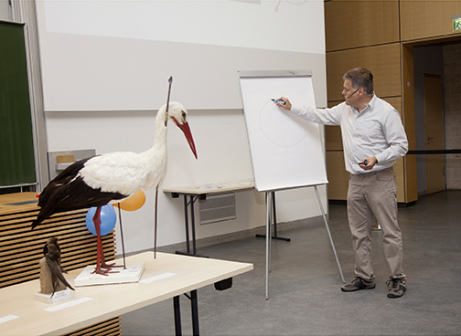 Kinder-Uni "Wohin ziehen die Vögel?"